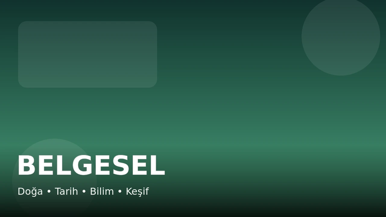 Belgesel kanalları